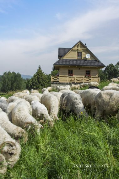 Domek w górach