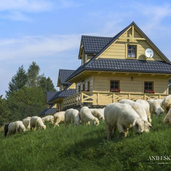 Domek góralski