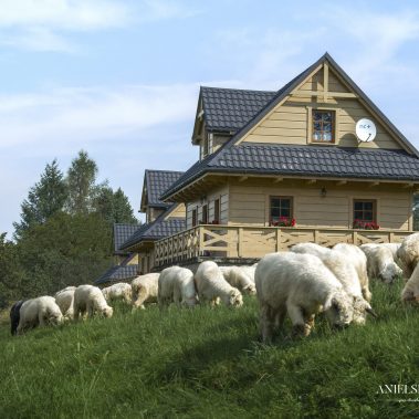 Domek góralski