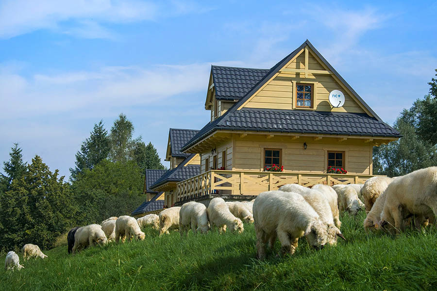 Domek Terra z kominkiem w Beskidzie Żywieckim